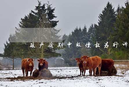 破产逾期申报债权另行诉讼 破产逾期申报债权另行诉讼