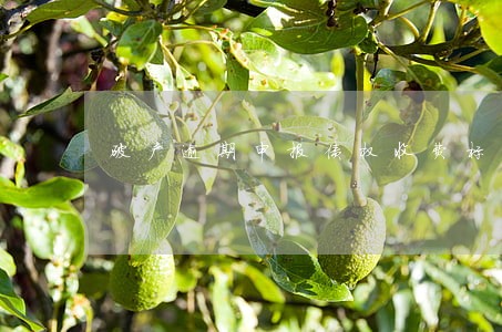 破产逾期申报债权收费标准 破产逾期申报债权收费标准