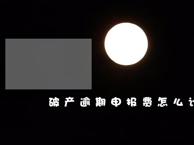 破产逾期申报费怎么计算 破产逾期申报费怎么计算