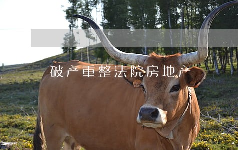 破产重整法院房地产 破产重整法院房地产