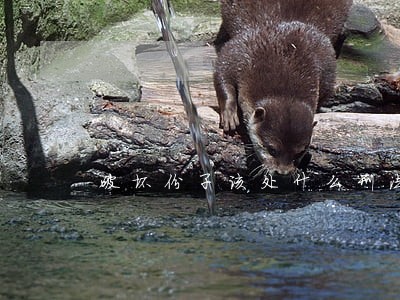 破坏份子该处什么刑法 破坏份子该处什么刑法