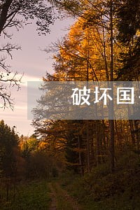 破坏国有资产违法那条安全法 破坏国有资产违法那条安全法