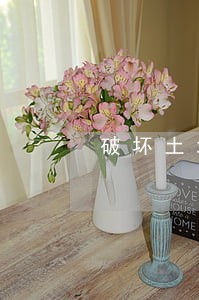 破坏土地挖坑违法