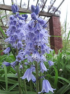 破坏消防栓属于哪个法规 破坏消防栓属于哪个法规