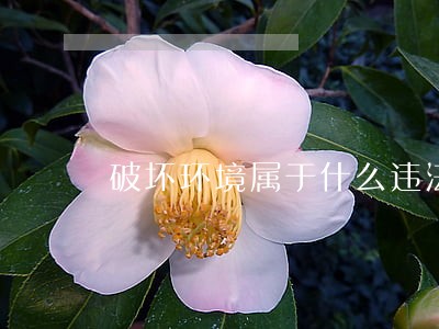 破坏环境属于什么违法行为 破坏环境属于什么违法行为