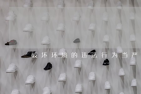 破坏环境的违法行为当严惩 破坏环境的违法行为当严惩