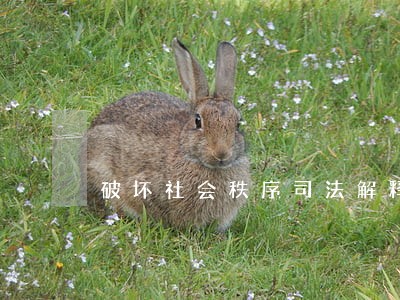 破坏社会秩序司法解释 破坏社会秩序司法解释