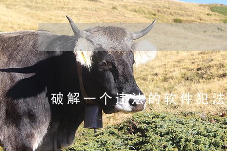 破解一个违法的软件犯法么 破解一个违法的软件犯法么