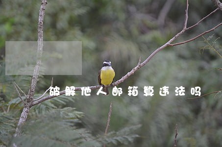 破解他人邮箱算违法吗