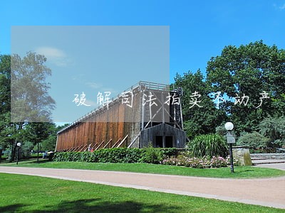 破解司法拍卖不动产 破解司法拍卖不动产