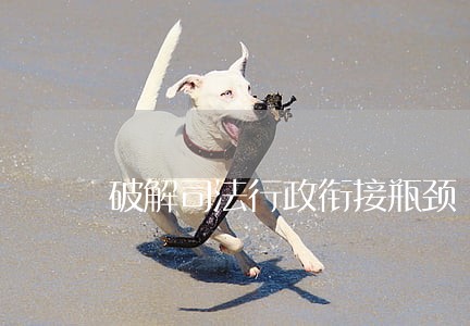 破解司法行政衔接瓶颈 破解司法行政衔接瓶颈