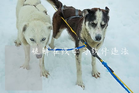 破解在线学习软件违法
