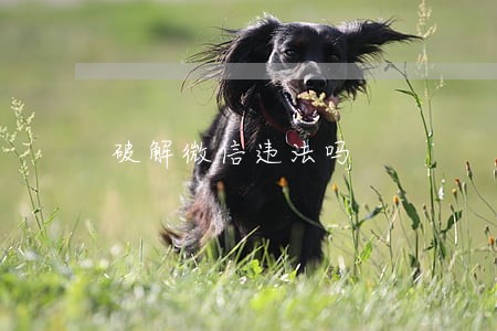 破解微信违法吗 破解微信违法吗