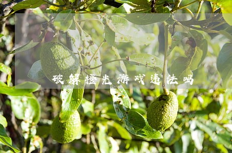 破解橙光游戏违法吗 破解橙光游戏违法吗