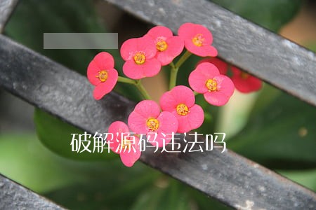 破解源码违法吗