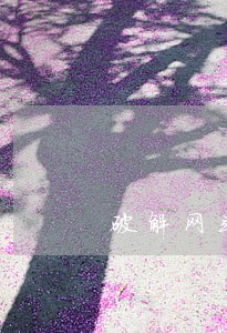 破解网站账号密码违法