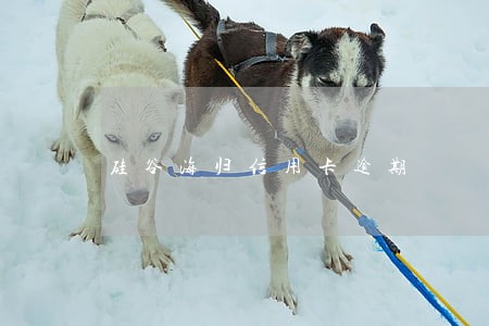 硅谷海归信用卡逾期 硅谷海归信用卡逾期