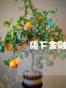 硕下金融逾期被告怎么办 硕下金融逾期被告怎么办