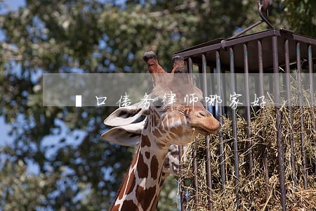 硚口债务律师哪家好 硚口债务律师哪家好