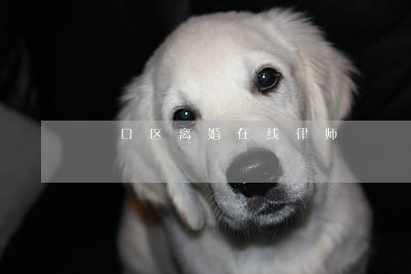 硚口区离婚在线律师