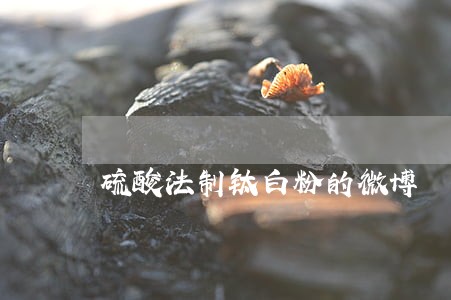 硫酸法制钛白粉的微博 硫酸法制钛白粉的微博