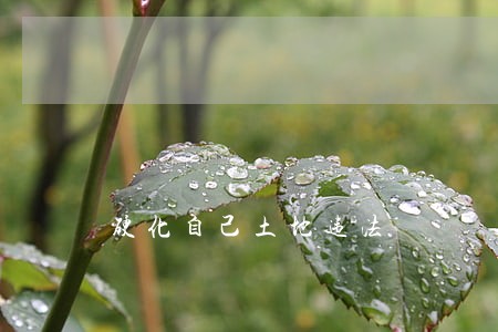 硬化自己土地违法 硬化自己土地违法