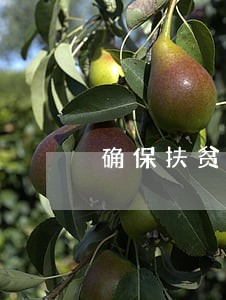确保扶贫贷款逾期 确保扶贫贷款逾期
