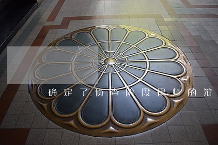确定了侦查阶段律师的辩护权 确定了侦查阶段律师的辩护权