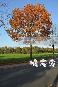 确定劳动关系算时间逾期吗 确定劳动关系算时间逾期吗