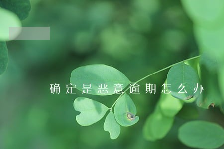 确定是恶意逾期怎么办 确定是恶意逾期怎么办