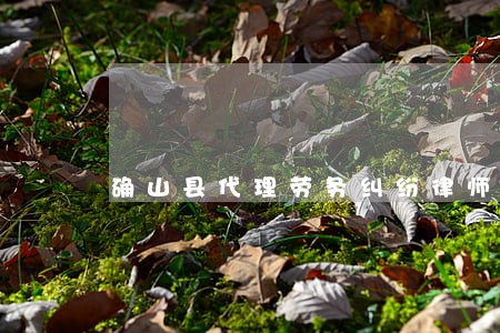 确山县代理劳务纠纷律师 确山县代理劳务纠纷律师