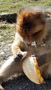 确山县房产律师网收费 确山县房产律师网收费