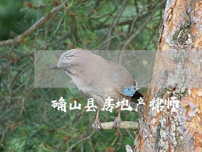 确山县房地产律师