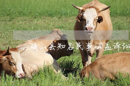 确山县知名民事公益诉讼律师 确山县知名民事公益诉讼律师