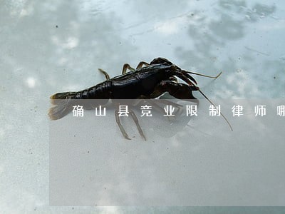 确山县竞业限制律师哪里找