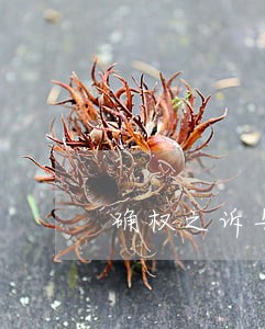 确权之诉与共有人析产诉讼 确权之诉与共有人析产诉讼