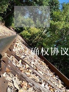 确权协议什么叫逾期 确权协议什么叫逾期