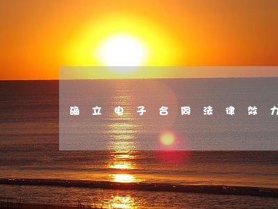 确立电子合同法律效力 确立电子合同法律效力