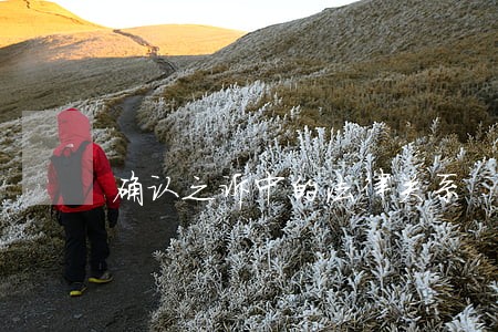 确认之诉中的法律关系