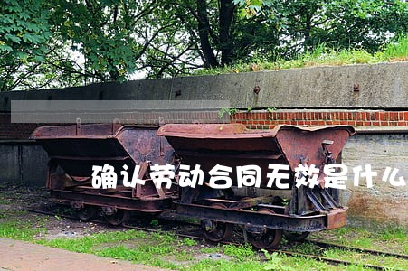 确认劳动合同无效是什么纠纷