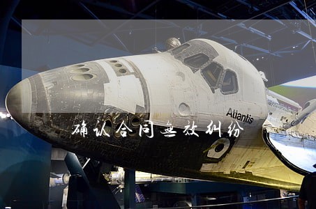 确认合同无效纠纷