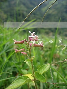确认合同无效诉讼的法律关系 确认合同无效诉讼的法律关系