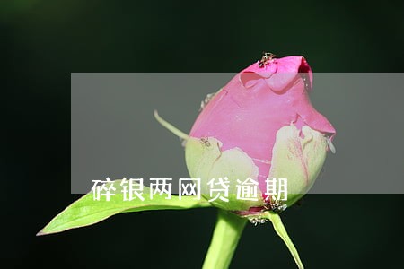 碎银两网贷逾期 碎银两网贷逾期