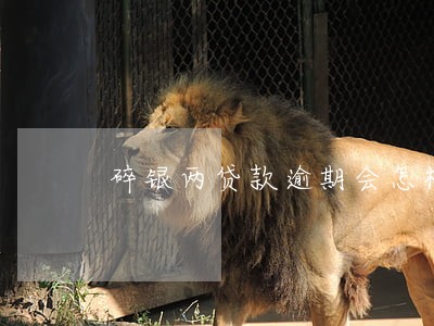 碎银两贷款逾期会怎样 碎银两贷款逾期会怎样