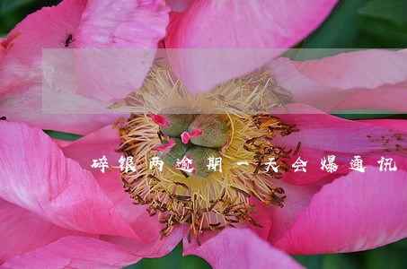 碎银两逾期一天会爆通讯录么 碎银两逾期一天会爆通讯录么
