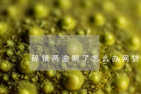 碎银两逾期了怎么办网贷 碎银两逾期了怎么办网贷