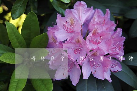 碑林区个人税收筹划律师在线咨询 碑林区个人税收筹划律师在线咨询