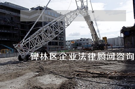 碑林区企业法律顾问咨询 碑林区企业法律顾问咨询