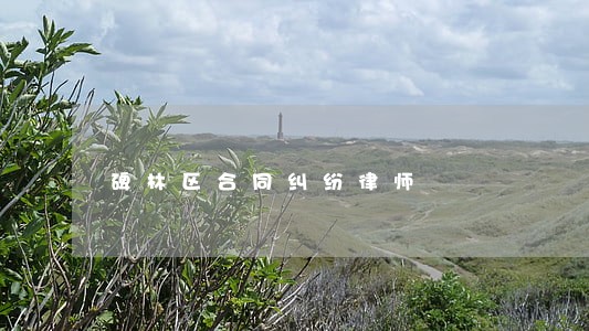碑林区合同纠纷律师 碑林区合同纠纷律师