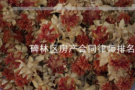 碑林区房产合同律师排名 碑林区房产合同律师排名